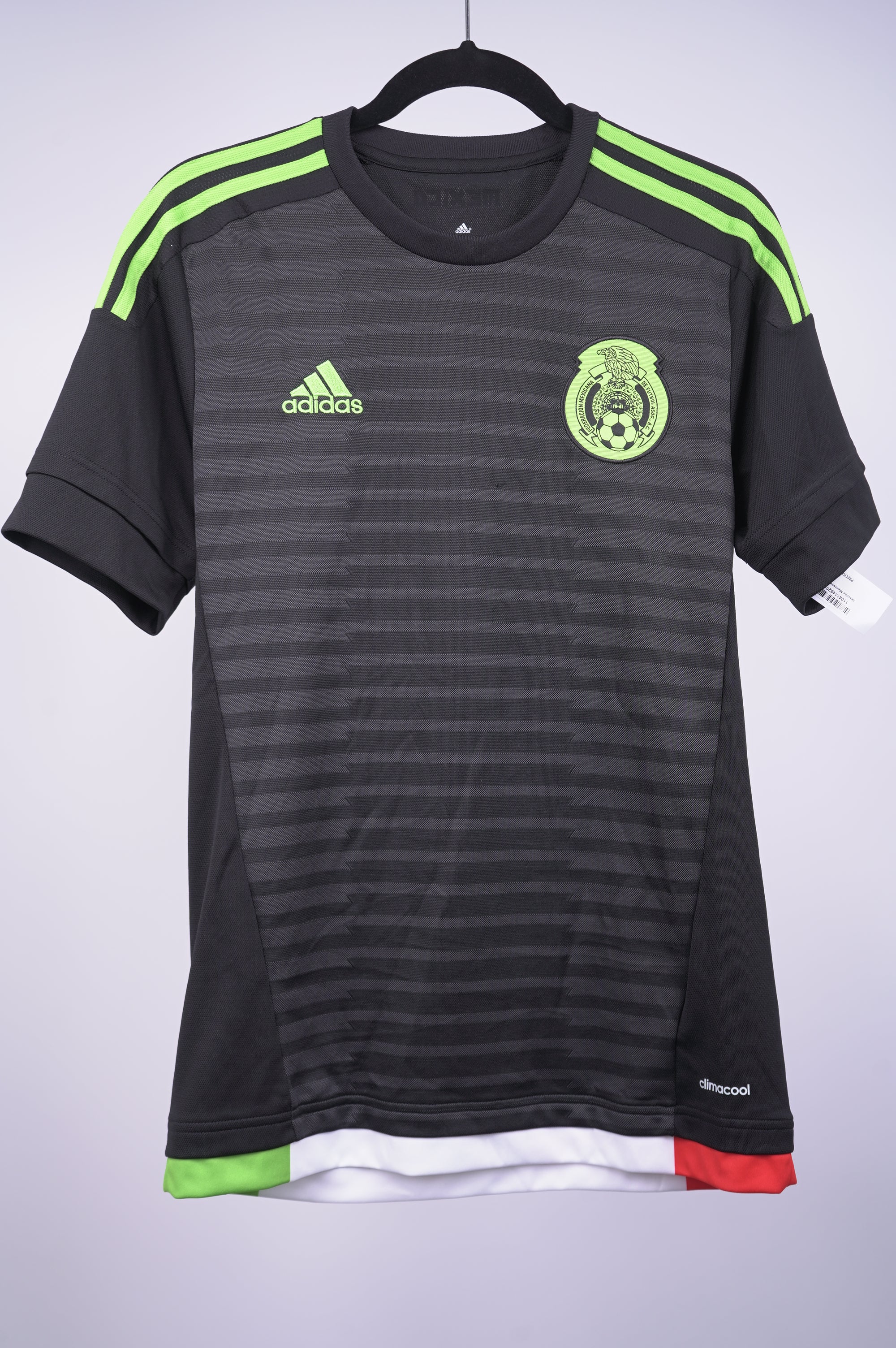 Seleccion Mexicana año 2015