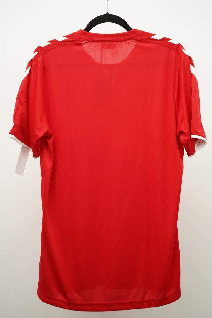 Dinamarca Local 2010s - Talla M - The Football Room Mty