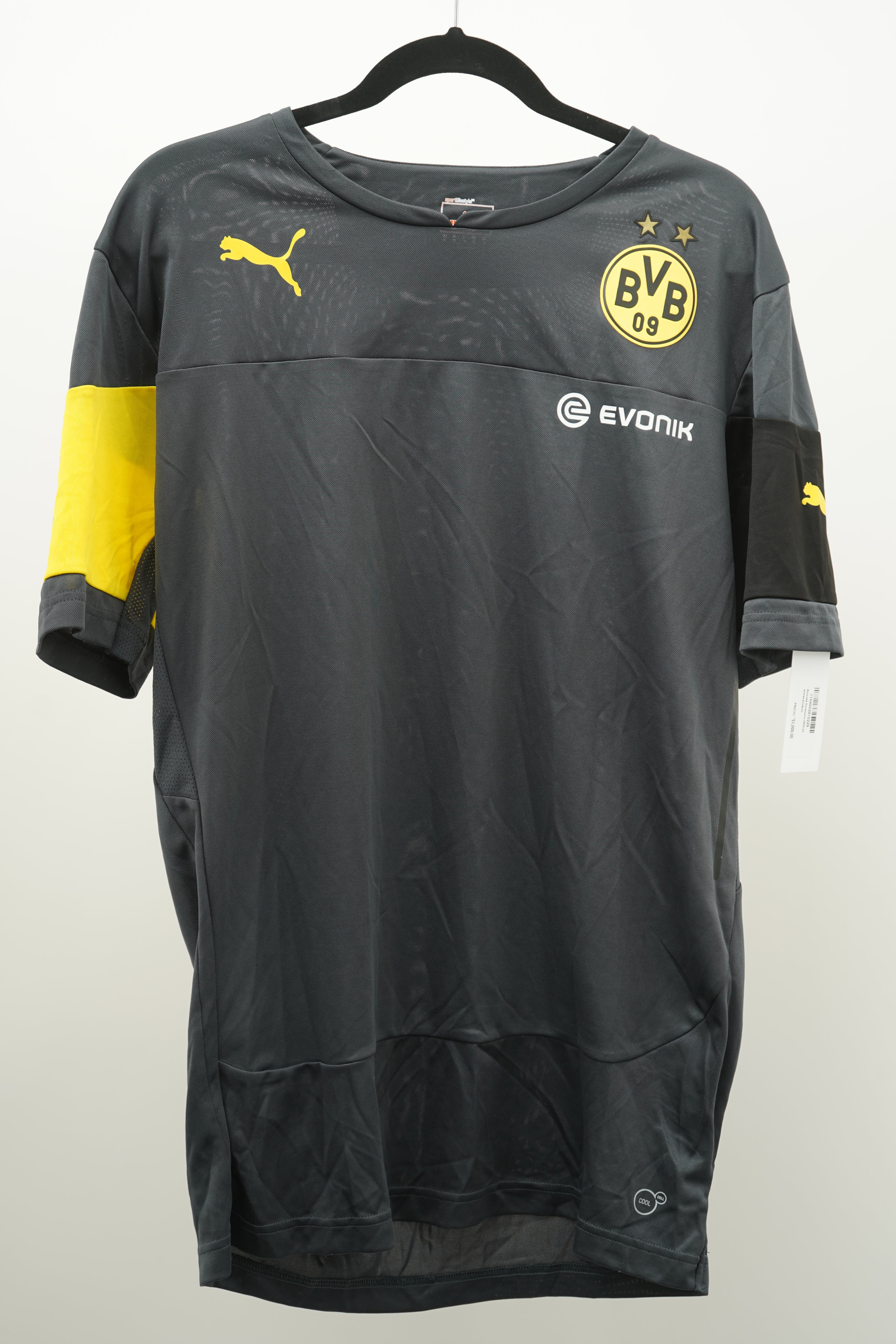 Borussia Dortmund 2014-15 training