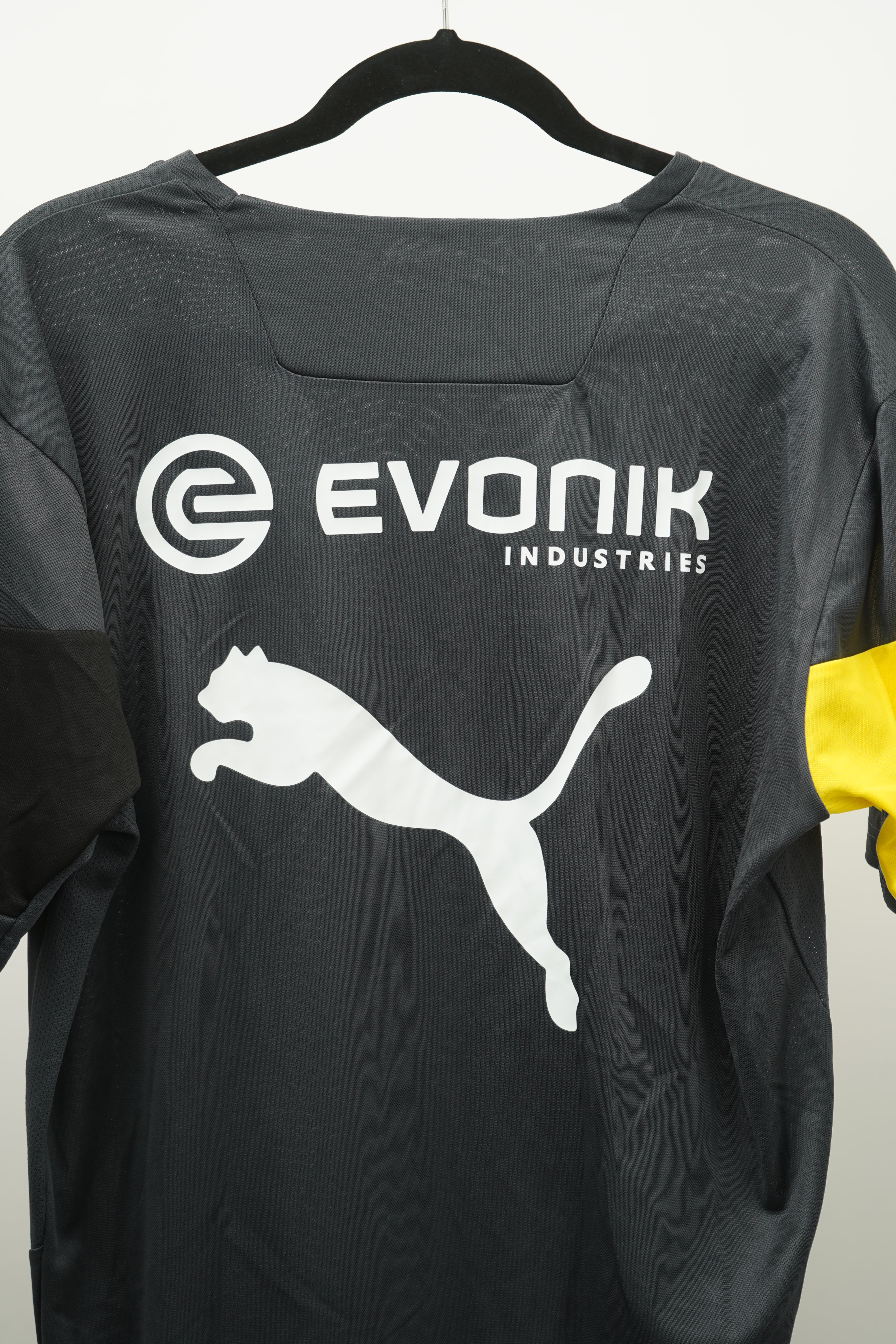 Borussia Dortmund 2014-15 training