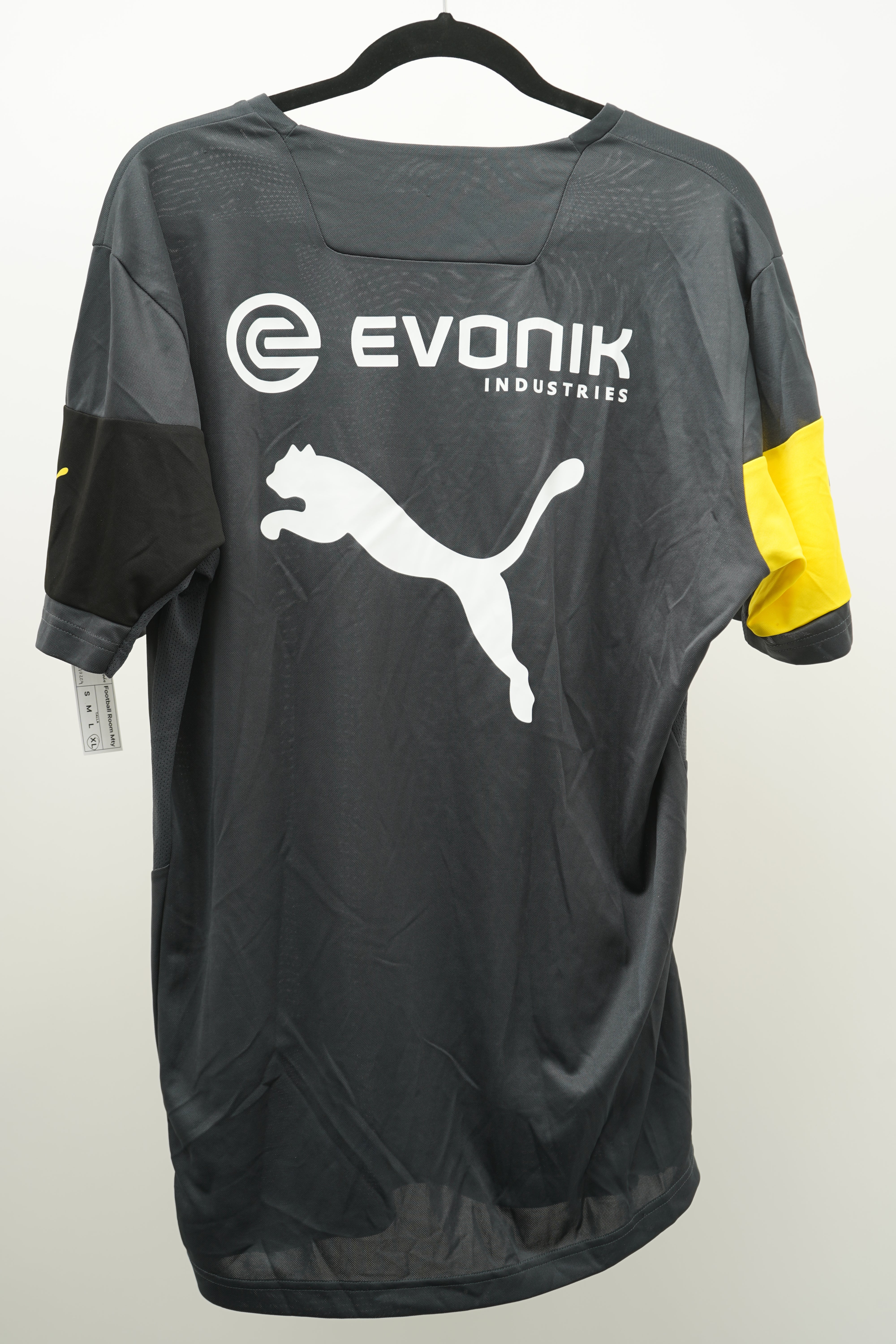 Borussia Dortmund 2014-15 training