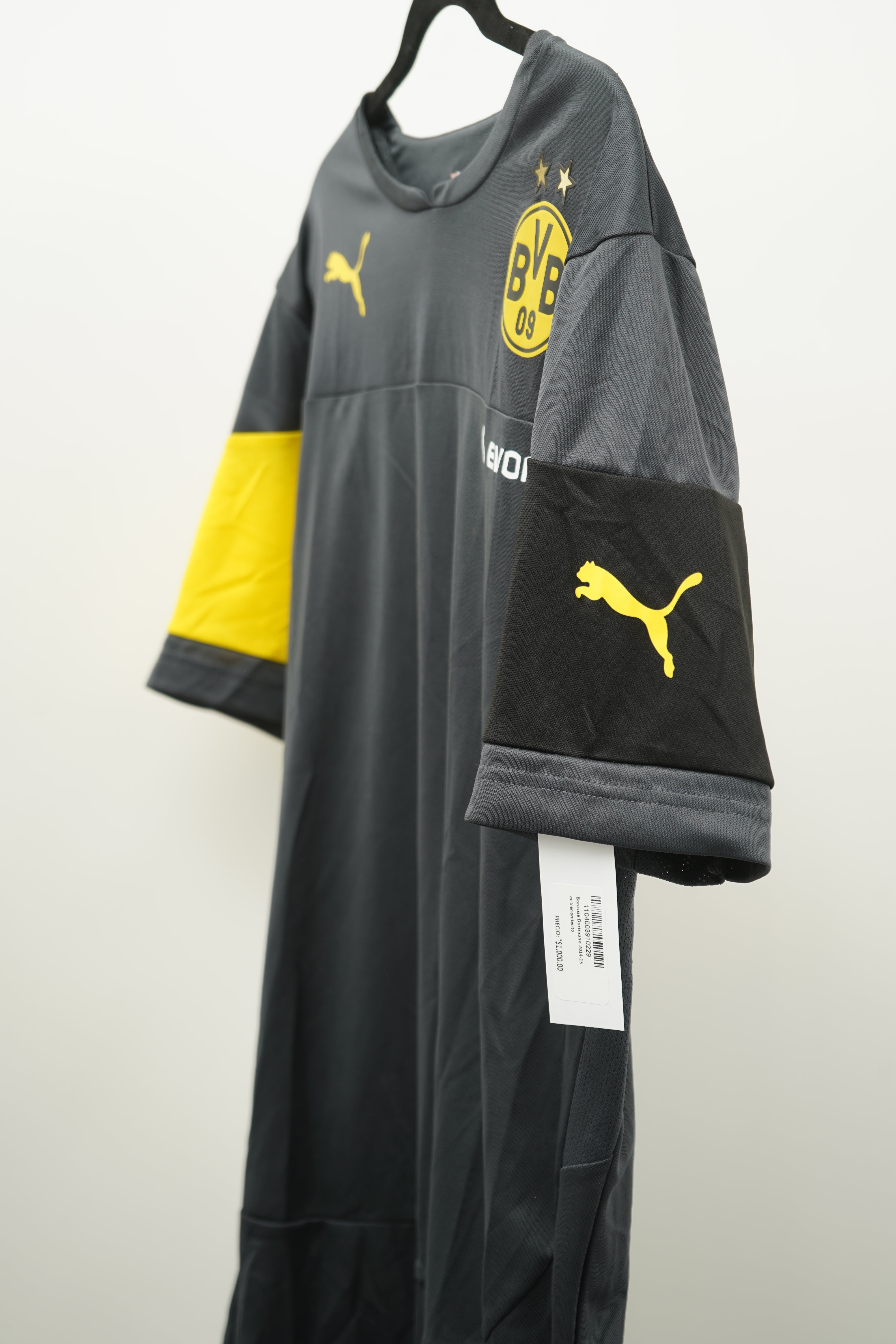 Borussia Dortmund 2014-15 training