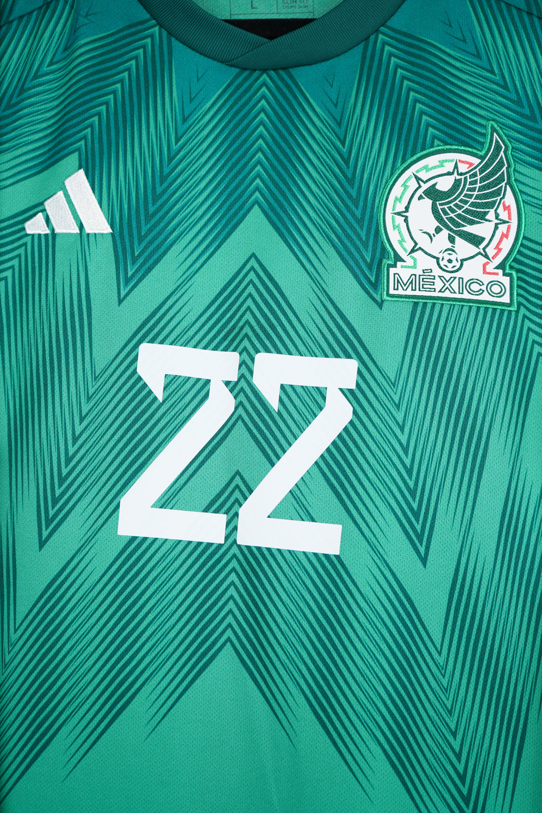 Mexico 2022 H. Lozano #22 - L (9/10)