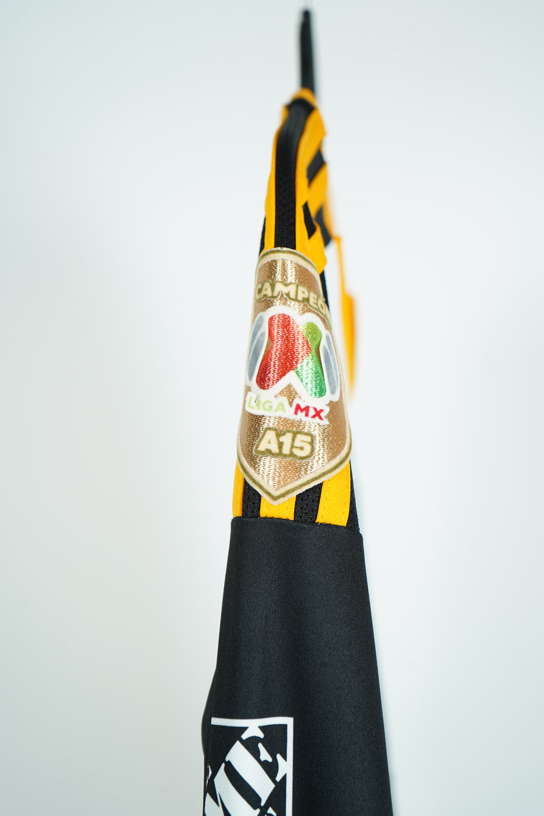 Tigres 2015-2016 #19 Pizarro - L (8/10)