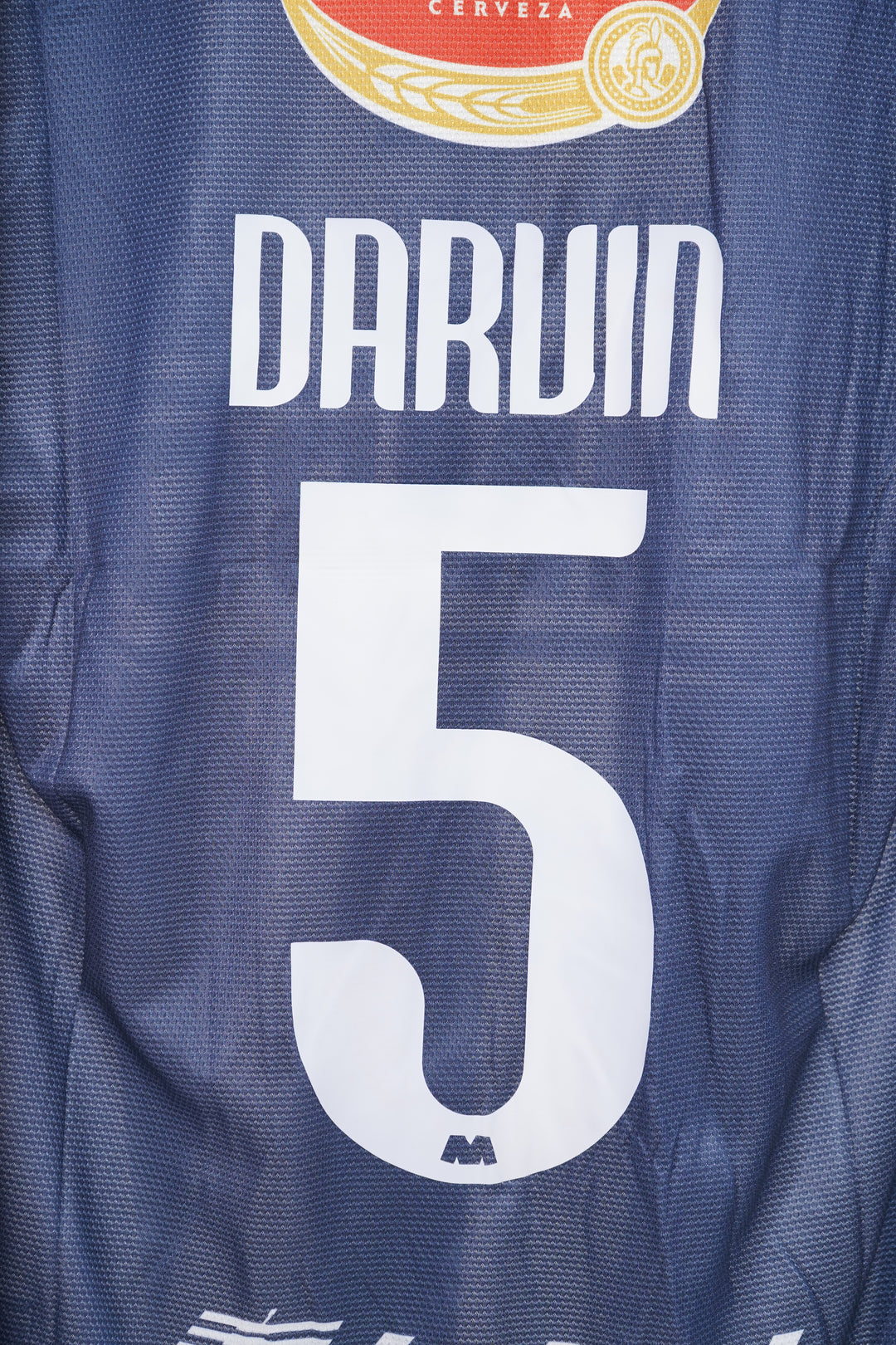 (Utileria) Rayados 2012-13 - Darvin #5 - M (9/10)