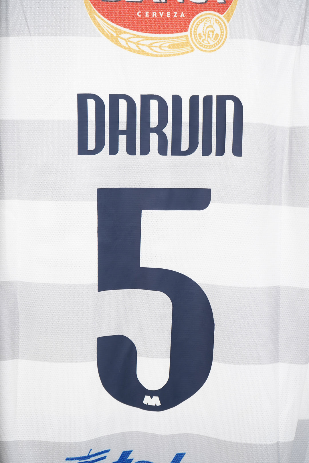 (Utileria) Rayados 2012-13 Darvin #5 - M (8/10)