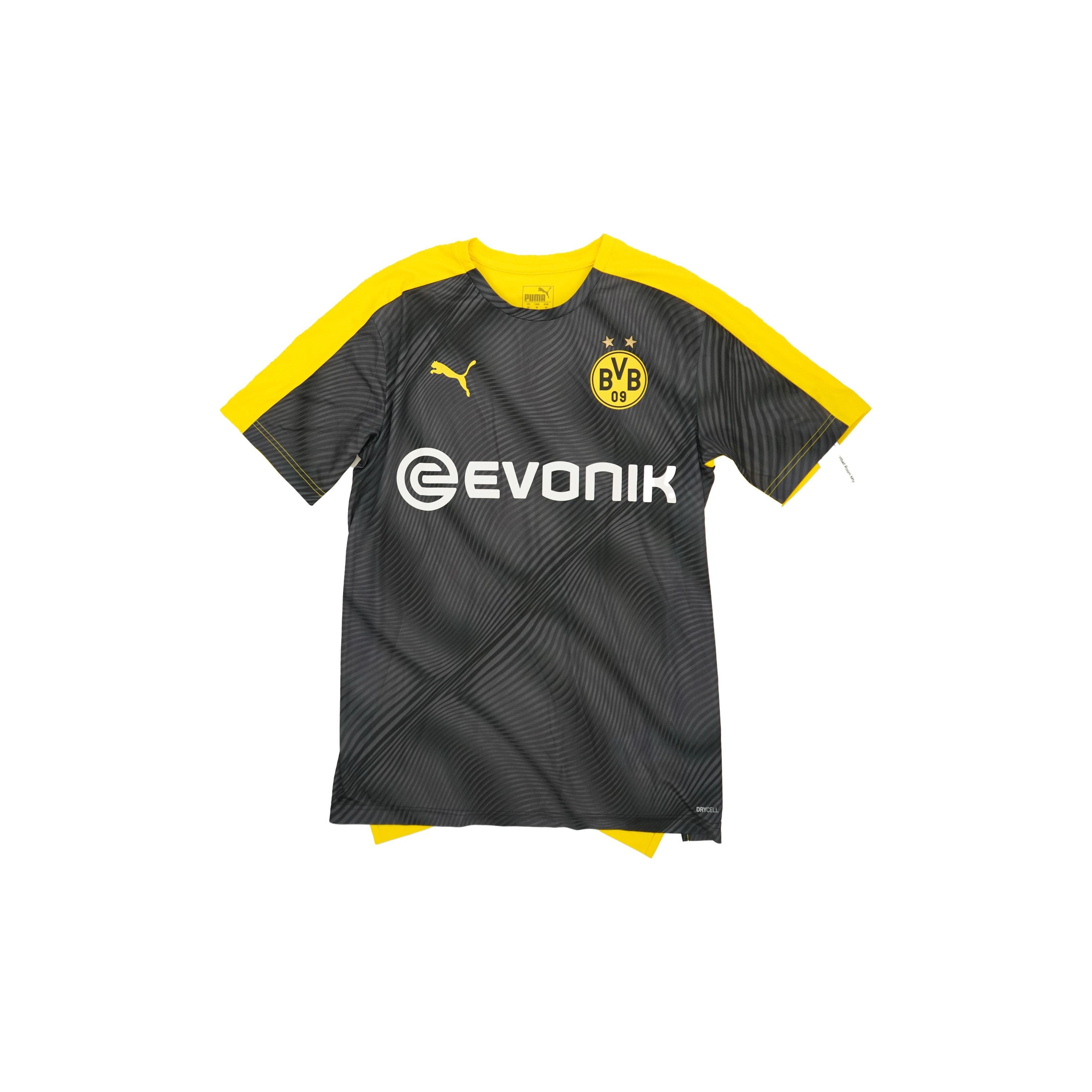 Borussia Dortmund 2018-19 entrenamiento